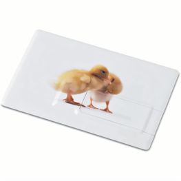 Creditcard. USB flash 4GB MEMORAMA