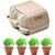 Saat-Set Kresse CRESS (Bild 3)