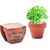 Terrakotta-Topf Kresse CRESS POT (Bild 3)