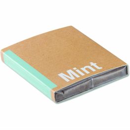 Pflanz-Set "Minze" MINT