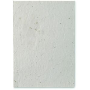 DIN A5 Wildblumen-Samenpapier ASIDE