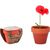 Terracotta-Topf Mohnblume RED POPPY (Bild 2)