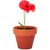 Terracotta-Topf Mohnblume RED POPPY (Bild 1)