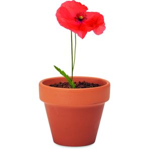 Terracotta-Topf Mohnblume RED POPPY