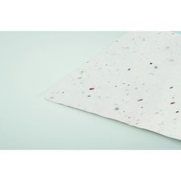 Wildblumensamen-Visitenkarte. ASIDA