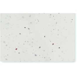 Wildblumensamen-Visitenkarte. ASIDA