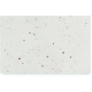 Wildblumensamen-Visitenkarte. ASIDA