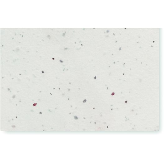 Wildblumensamen-Visitenkarte. ASIDA (Bild 1)