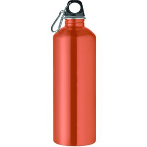 Einwandige Trinkflasche 1000ml RE-ONE MOSS