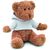 Teddybär mit Hoody  JOHNNY