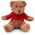 Teddybär mit Hoody  JOHNNY