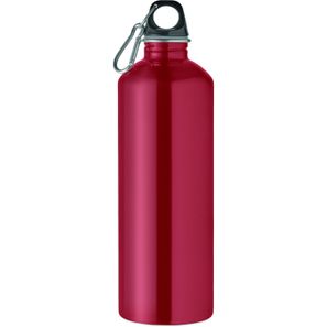 Einwandige Trinkflasche 1000ml RE-ONE MOSS