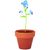 Terracotta-Topf Vergissmeinnich FORGET ME NOT (Bild 1)