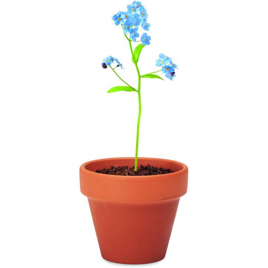 Terracotta-Topf Vergissmeinnicht FORGET ME NOT (Bild 1)
