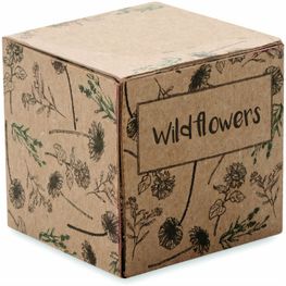 Saat-Set Wildblumen BOMBI