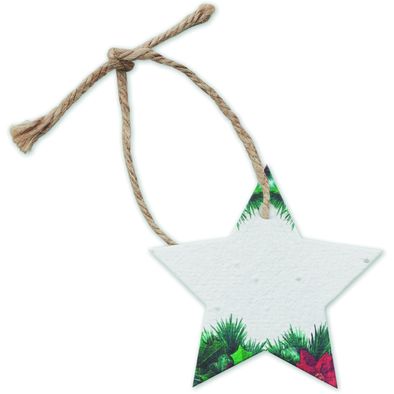 Weihnachtsschmuck Samenpapier STARSEED