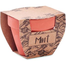 Terrakotta-Topf Minze MINT POT