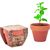 Terrakotta-Topf Minze MINT POT (Bild 2)