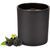 ROMOSCENT® Aromakerze Blackberry (Bild 4)