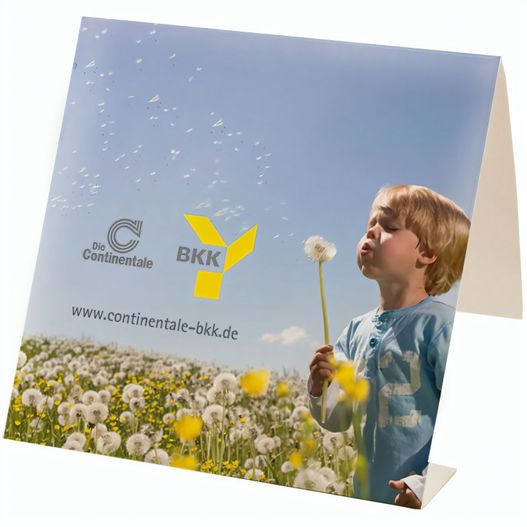 Produktabbildung Fan Mäppchen Tattoo Fan Mäppchen Tattoo (Bild 1)