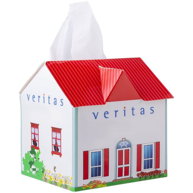 Taschentuchbox Haus