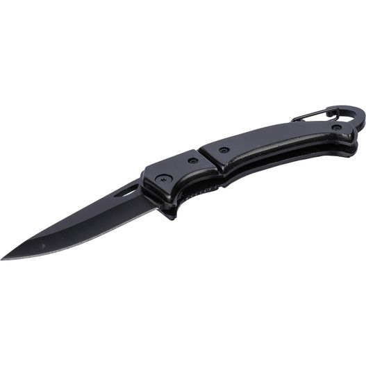 Produktabbildung Taschenmesser aus Edelstahl Anne Taschenmesser aus Edelstahl Anne (Bild 1)