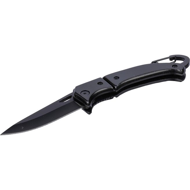 Produktabbildung Taschenmesser aus Edelstahl Anne Taschenmesser aus Edelstahl Anne