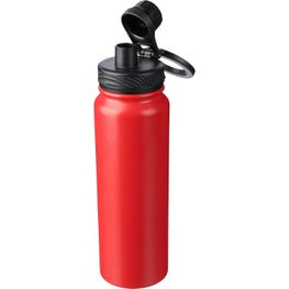 Doppelwandige Flasche aus Edelstahl (800 ml) Zinnia