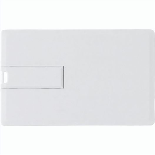 Produktabbildung USB-Stick aus Kunststoff Dani USB-Stick aus Kunststoff Dani (Bild 1)