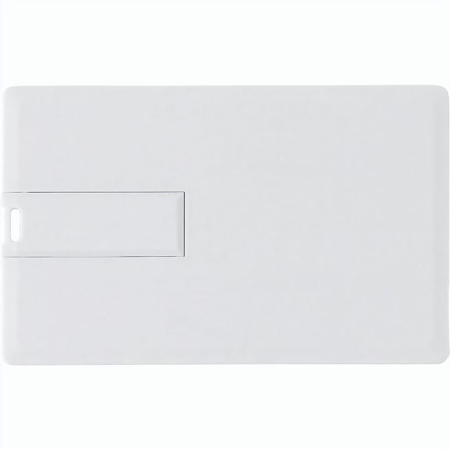 USB-Stick aus Kunststoff Dani