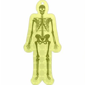 Anhänger A-10 Skelett 45 x 102 mm