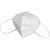 FFP2 Maske La Rioja (Bild 1)