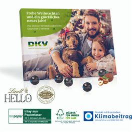 Tisch-Adventskalender Lindt „Hello“, Inlay aus Papierfaser