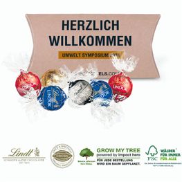 Kissenverpackung „Creative”