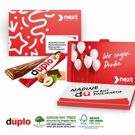 Duplo Mailing
