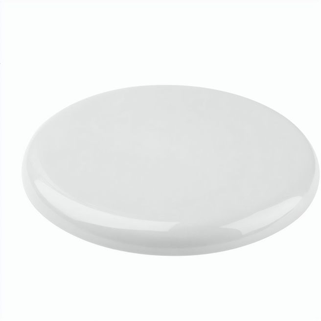 Frisbee Smooth Fly