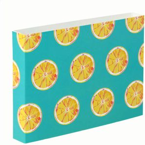 Individueller Pappschuber CreaSleeve 248