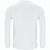 Longsleeve T-Shirt Ideary (Bild 3)