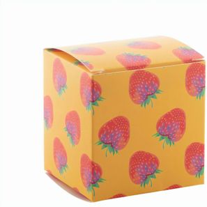 Individuelle Box CreaBox PB-243