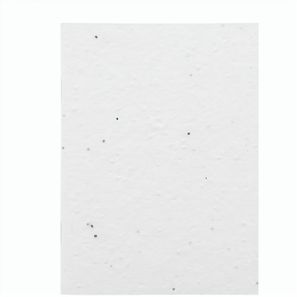 individuelles Saatpapier-Notizbuch CreaNote A6 Seed