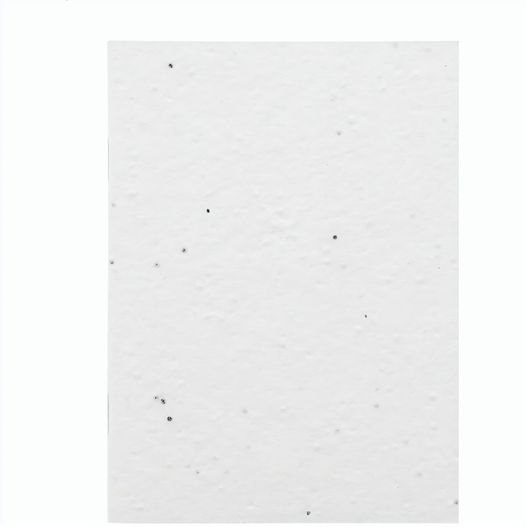 individuelles Saatpapier-Notizbuch CreaNote A6 Seed (Bild 1)