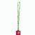 Individuelle Medaille Subdal Colour Square