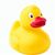 Badeente Squack (Bild 1)