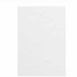 Individueller Haftnotizblock CreaStick Seed Combo A