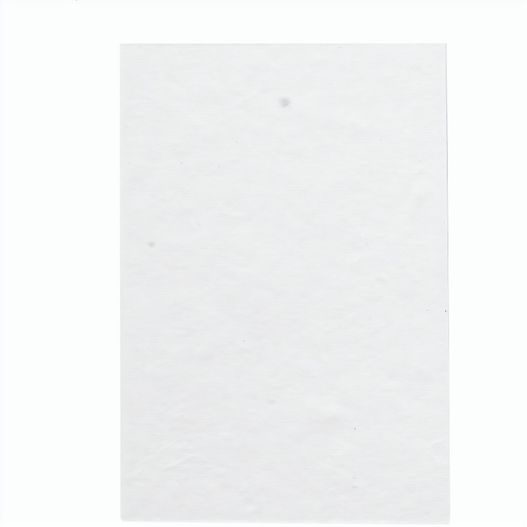 Individueller Haftnotizblock CreaStick Seed Combo A (Bild 1)