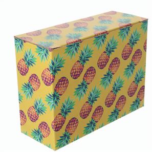 Individuelle Box CreaBox EF-311