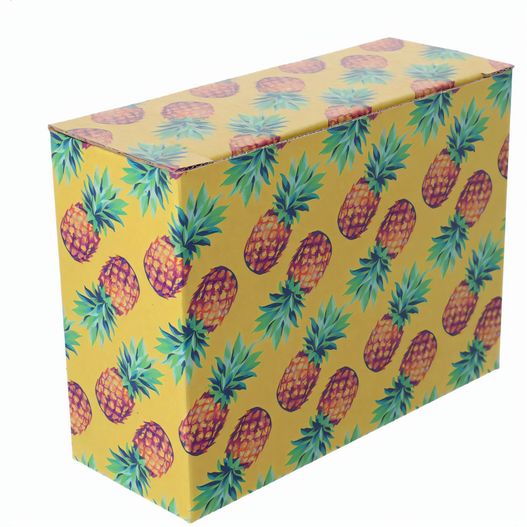 Individuelle Box CreaBox EF-311 (Bild 1)