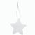 benutzerdefinierte Saatgut Papier Christbaumschmuck, Stern CreaJul Seed (Bild 1)