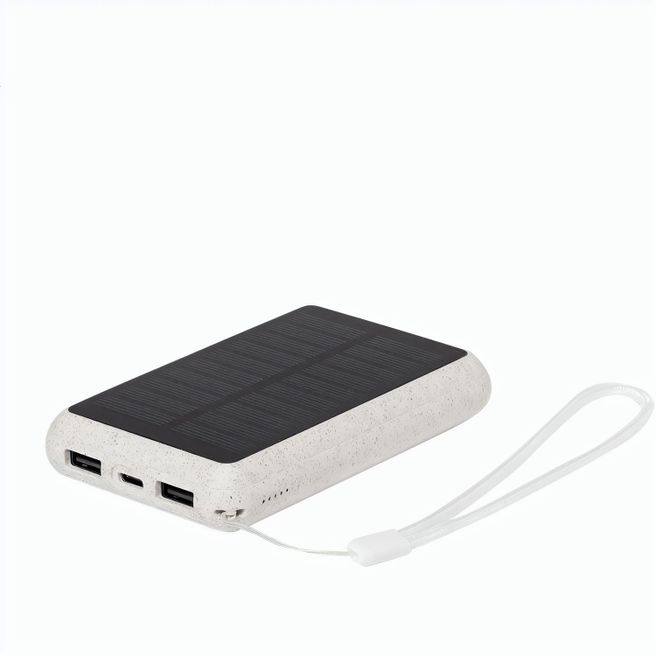 Powerbank Surum