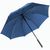 REPT Regenschirm Fibratus (Bild 1)